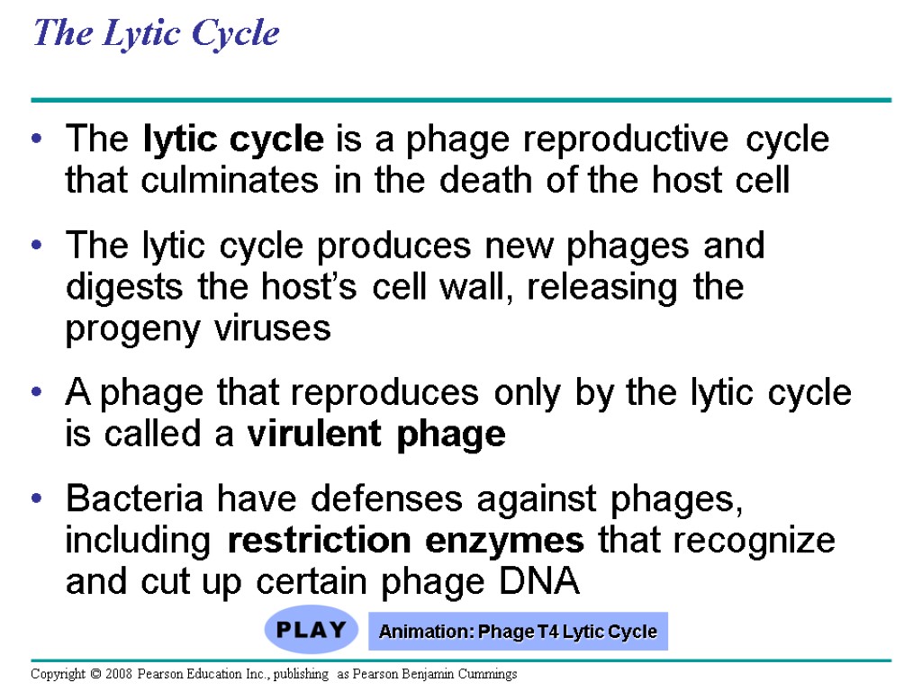 The Lytic Cycle The lytic cycle is a phage reproductive cycle that culminates in